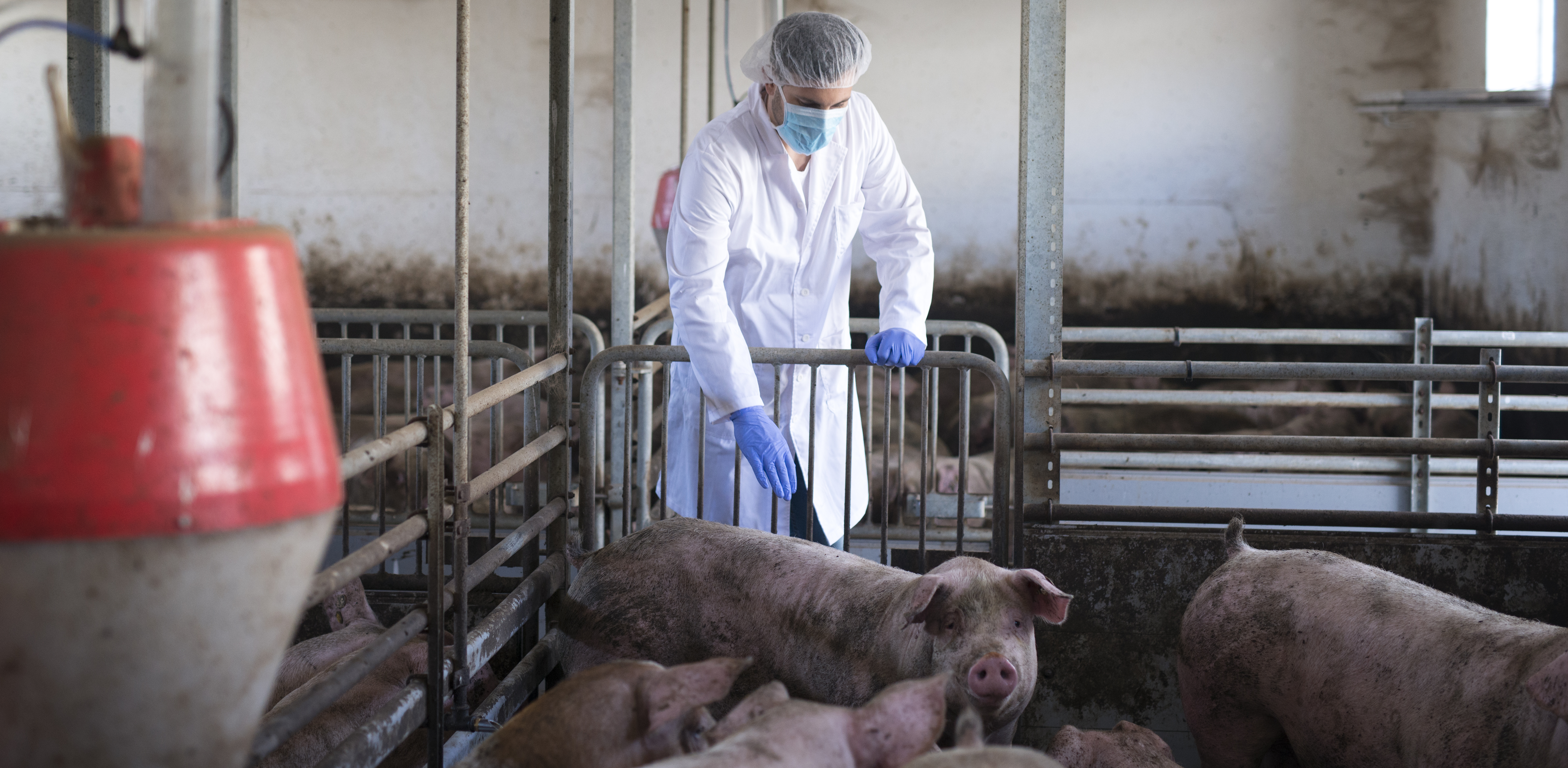 Zdjęcie ilustracyjne (Fot. Freepik)