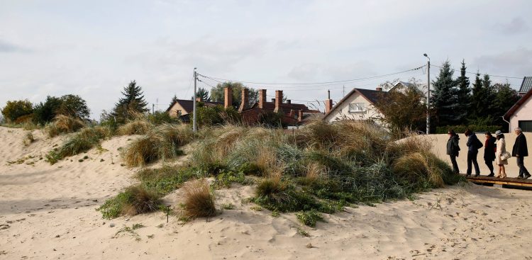 Zdjęcie archiwalne. Sztuczna wydma na terenie Stacji Biologicznej Uniwersytetu Gdańskiego na Wyspie Sobieszewskiej (fot. Krzysztof Mystkowski / KFP)