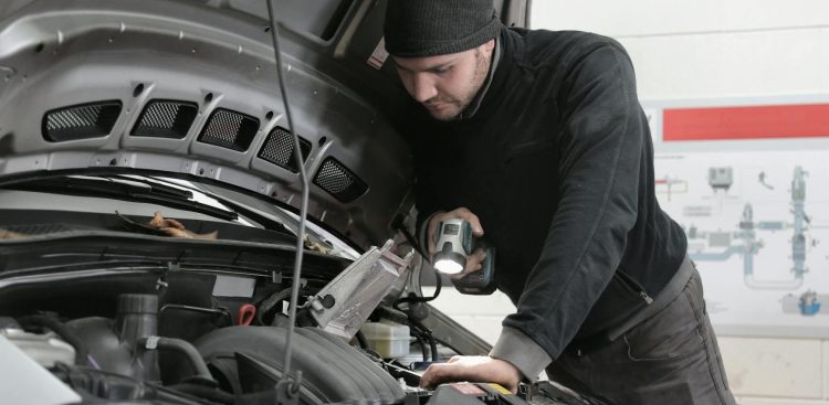 (fot. mat. sponsorowane)