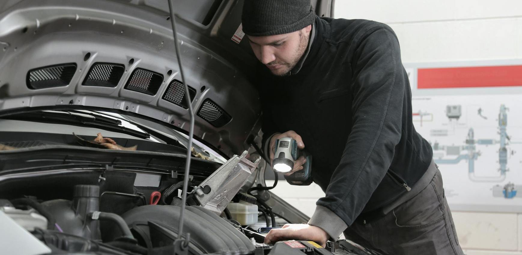 (fot. mat. sponsorowane)