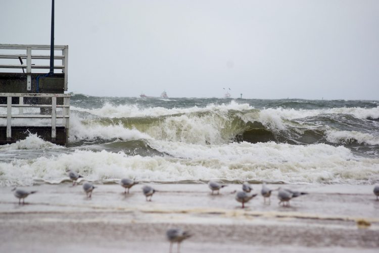 Zamknięto molo w Gdańsku-Brzeźnie z uwagi na wysokie fale - 12.01.2025 r. (fot. Radio Gdańsk/Robert Silski)