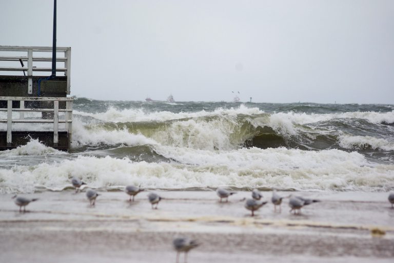 Zamknięto molo w Gdańsku-Brzeźnie z uwagi na wysokie fale - 12.01.2025 r. (fot. Radio Gdańsk/Robert Silski)