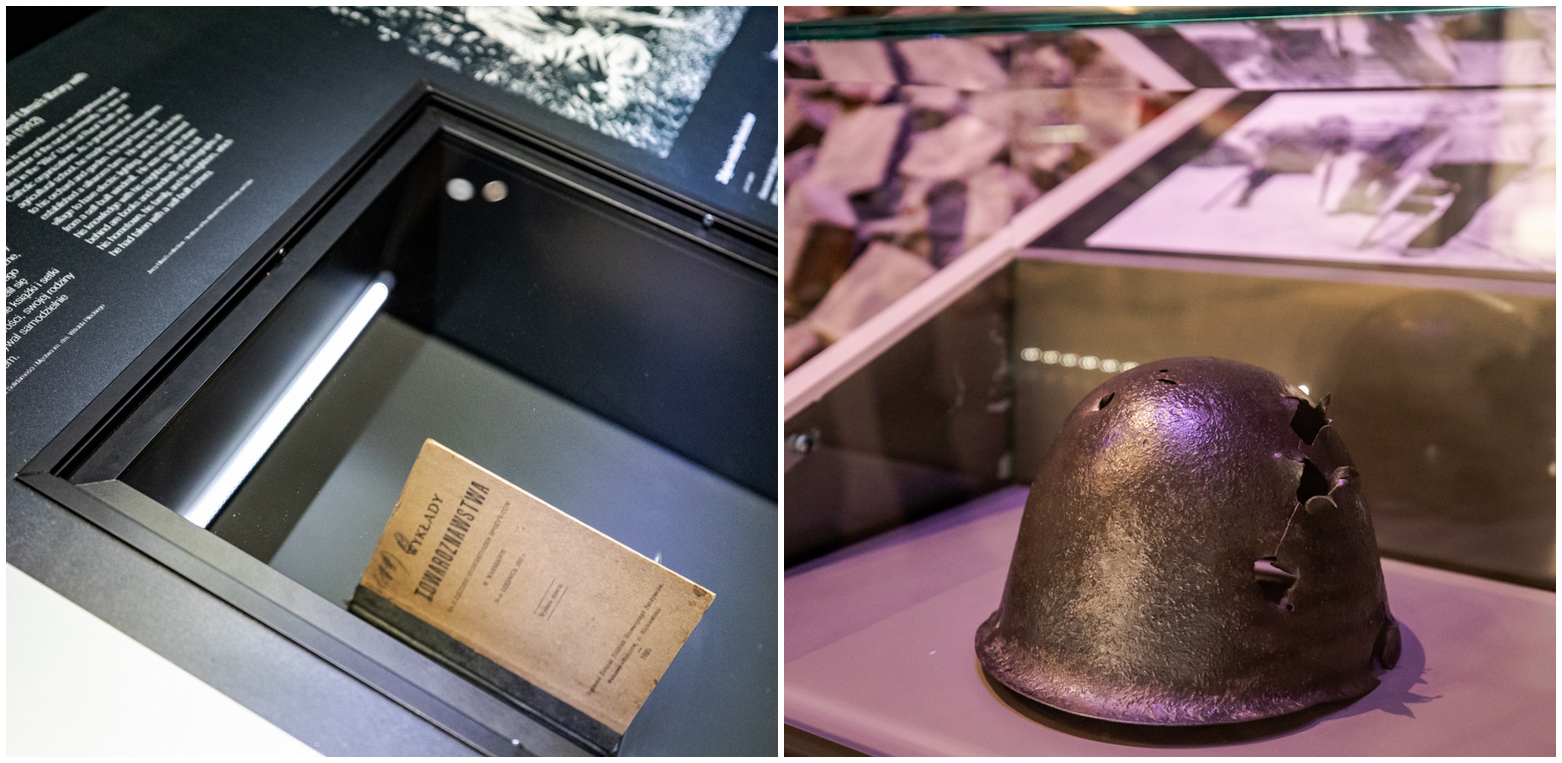 (fot. mat. pras./Agnieszka Stawrosiejko)