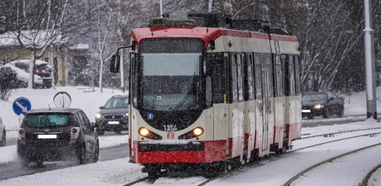 Zdjęcie ilustracyjne (fot. Paweł Marcinko / KFP)
