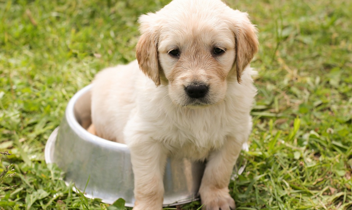 (fot. mat. sponsorowane)