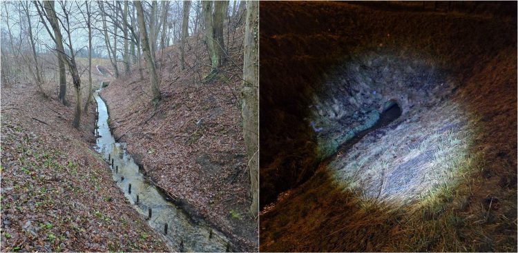 (fot. Gdańskie Wody)