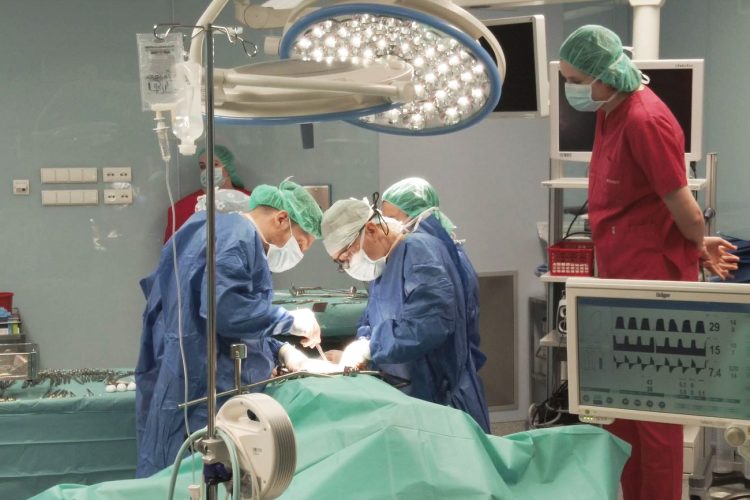 (fot. Sylwia Mierzewska UCK)