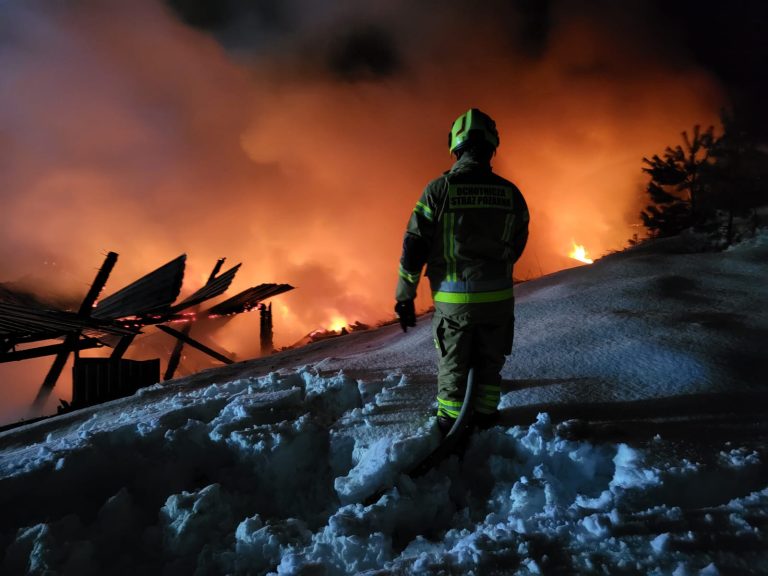 Zdjęcie ilustracyjne (fot. PSP)