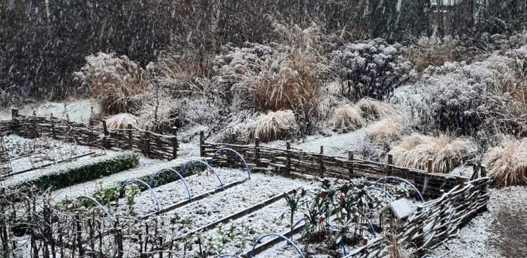 (Fot. Katarzyna Bellingham)