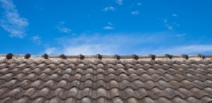 Zdjęcie ilustracyjne (fot. Freepik)