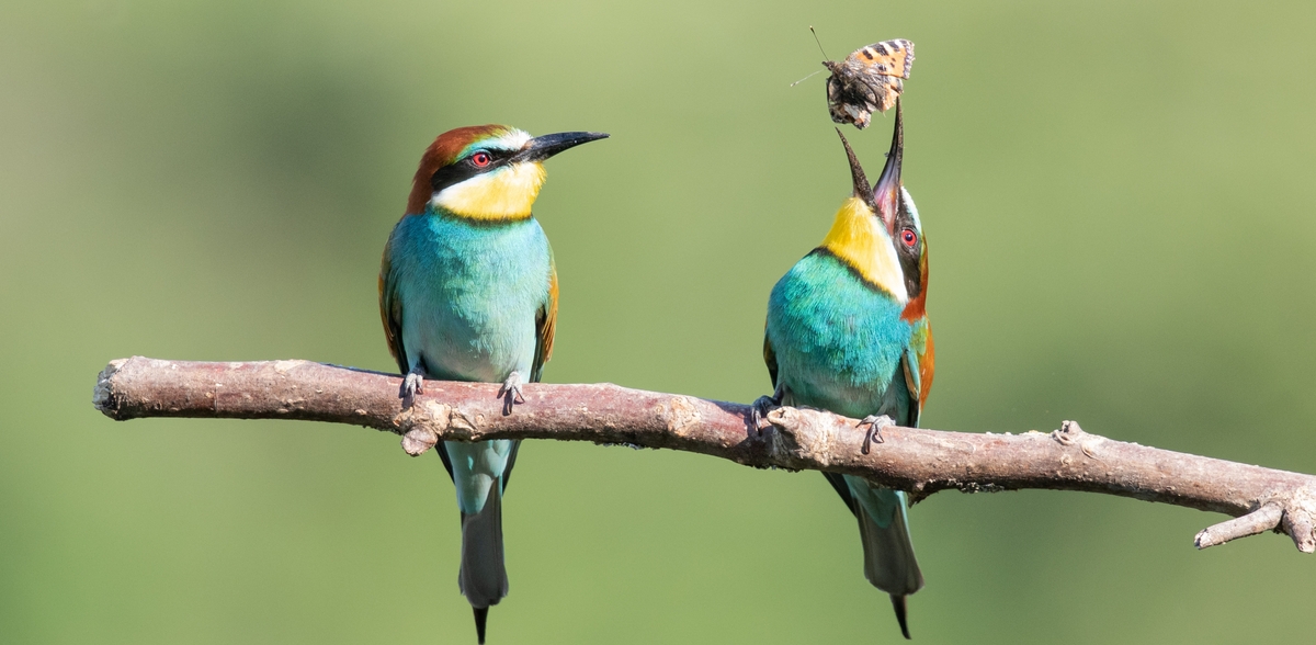 Zdjęcie ilustracyjne (fot. Freepik)