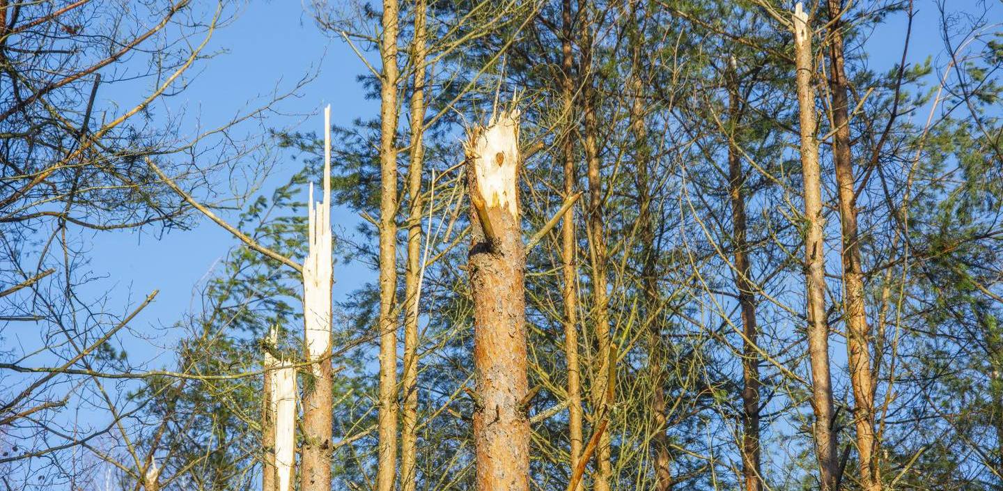 (fot. starosta bytowski Leszek Waszkiewicz)