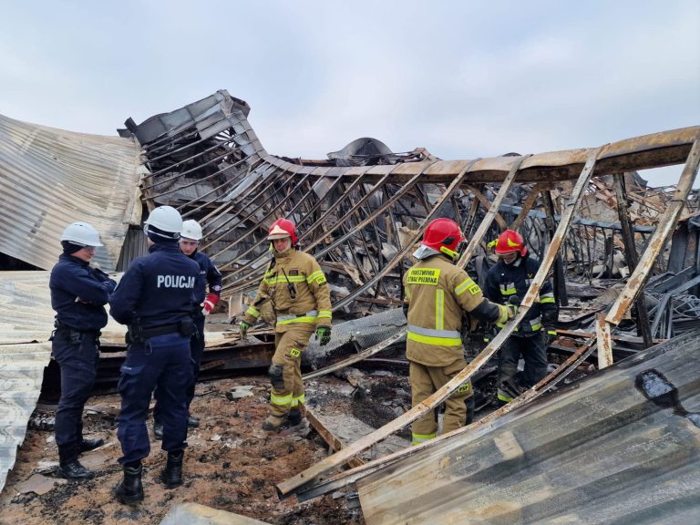 Na miejscu pracuje jednocześnie kilka grup (Fot. KWP Gdańsk)