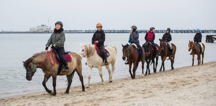 Zdjęcie archiwalne. Przejażdżka konna po plaży w Sopocie (fot. Mateusz Ochocki / KFP)