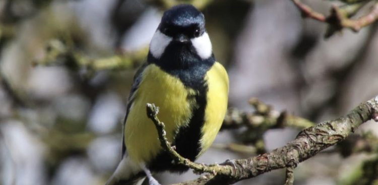 Zdjęcie ilustracyjne (Fot. Radio Gdańsk/Małgorzata Odyniec)