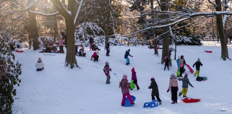 Zima w Gdańsku. Nz. Dzieci zjeżdżają na sankach w Parku Oliwskim (fot. KFP/Anna Rezulak)