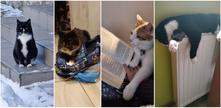 (fot. słuchacze Radia Gdańsk)