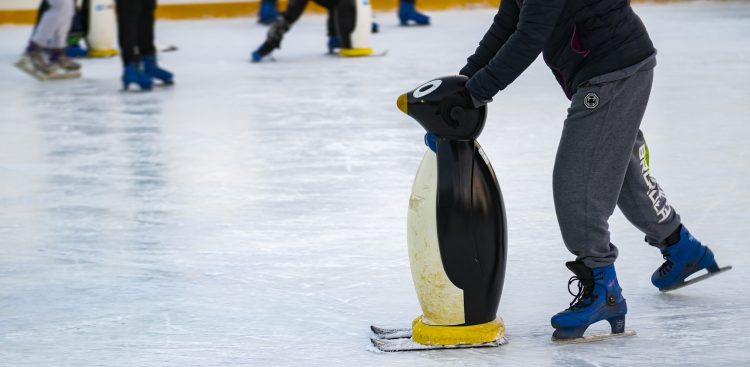 (fot. Anna Bobrowska / KFP)