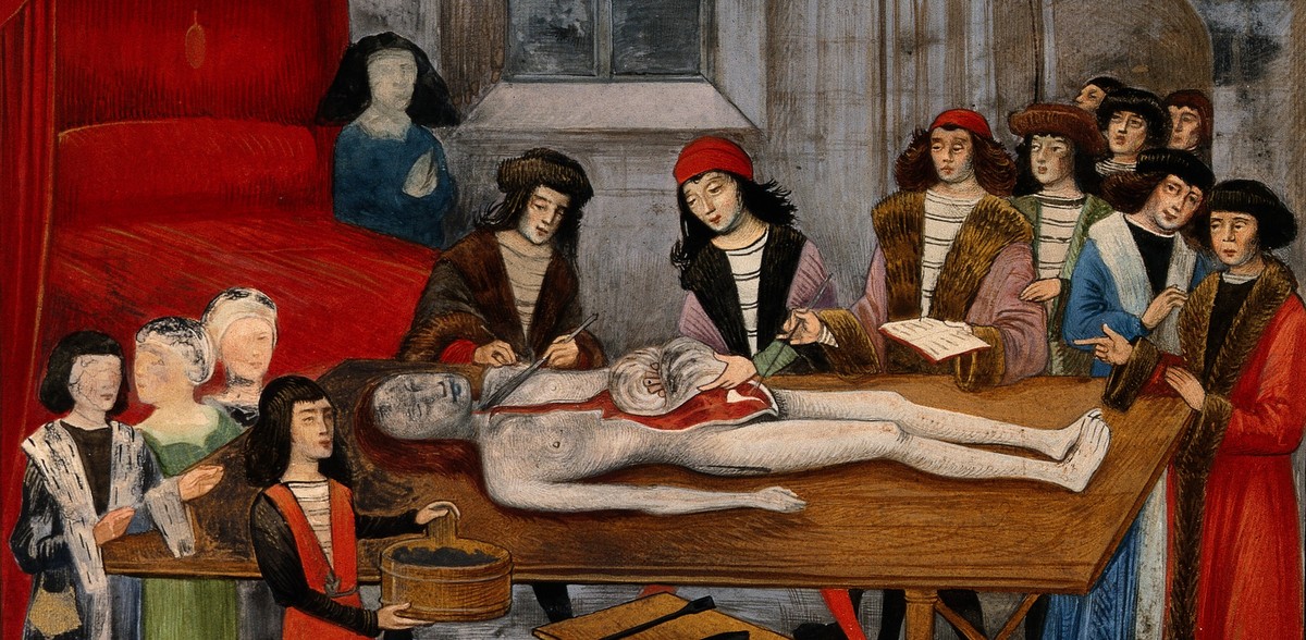 Sekcja zwłok w dawnym manuskrypcie (fot. Wikimedia Commons/Wellcome Images)