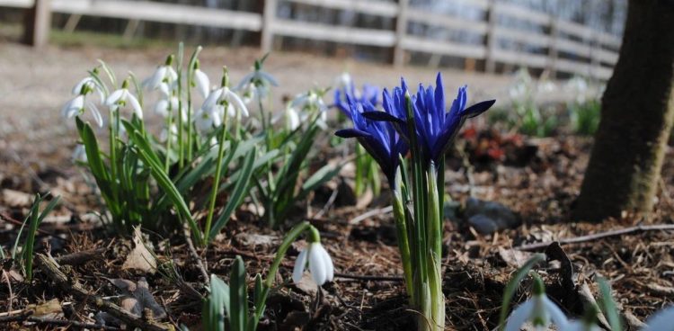 (Fot. Katarzyna Bellingham)