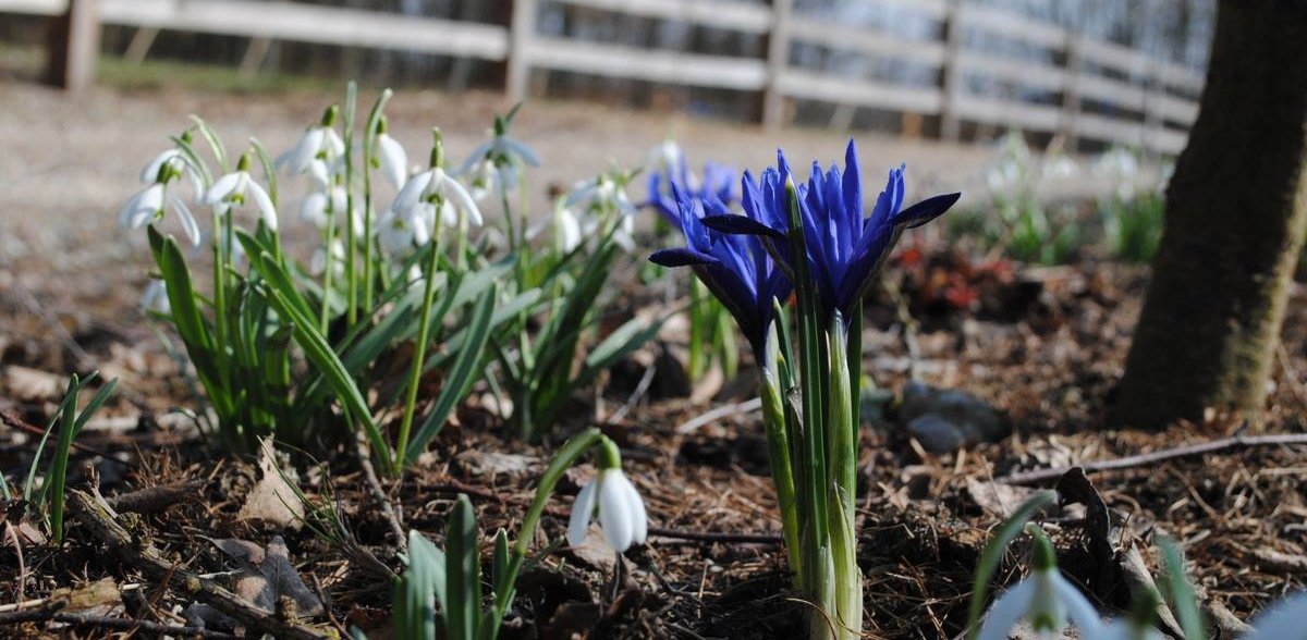 (Fot. Katarzyna Bellingham)