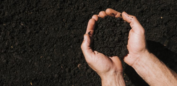 Zdjęcie ilustracyjne (fot. Freepik)