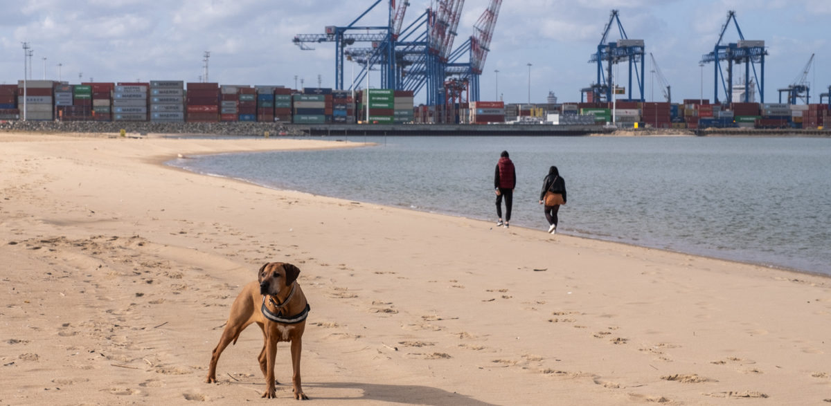 Od plaży Stogi do plaży Orle obowiązuje zakaz wchodzenia do wody (fot. KFP/Anna Rezulak)