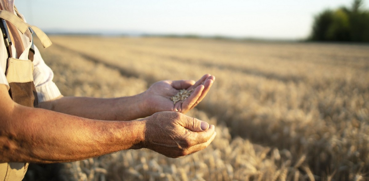 Ostateczny termin złożenia wniosku w Agencji Restrukturyzacji i Modernizacji Rolnictwa mija 15 maja (fot. Freepik)