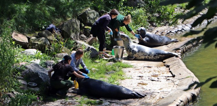 (fot. Gdański Ogród Zoologiczny)
