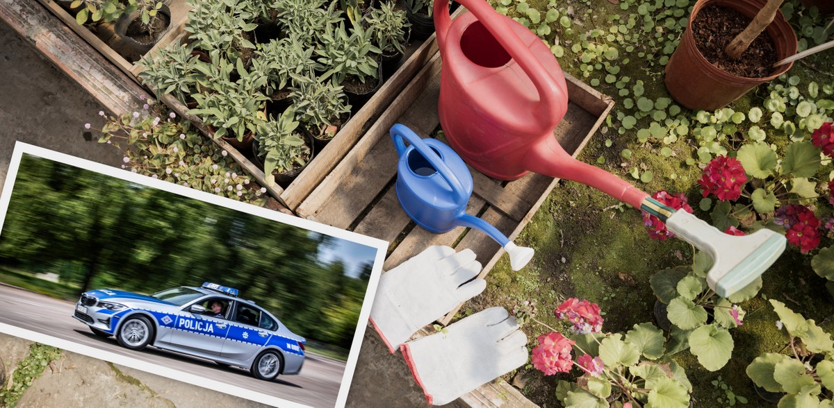 Policja dostaje ostatnio sporo zgłoszeń o próbach kradzieży, ale też włamaniach na ogródki działkowe (fot. Freepik)