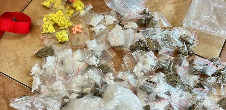 Mundurowi zabezpieczyli prawie 1,5 kg zabronionych substancji (fot. KMP w Słupsku)