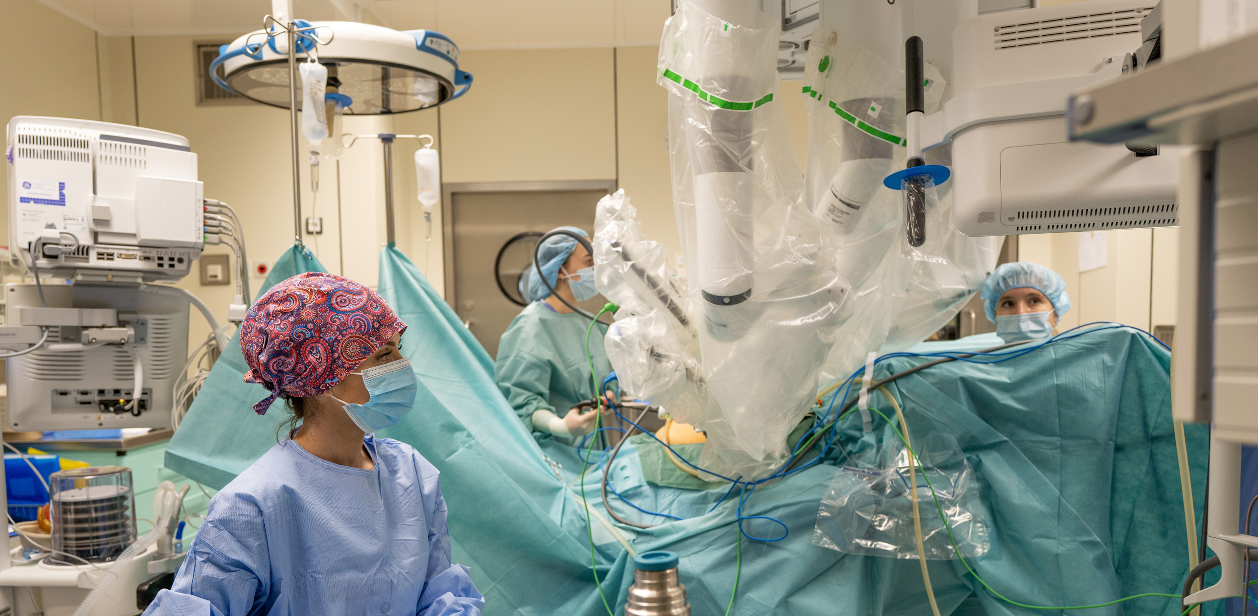 (Fft. WSzS/Paulina Kawalec)