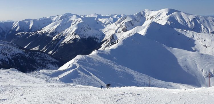 Zdjęcie ilustracyjne (fot. Pixabay)