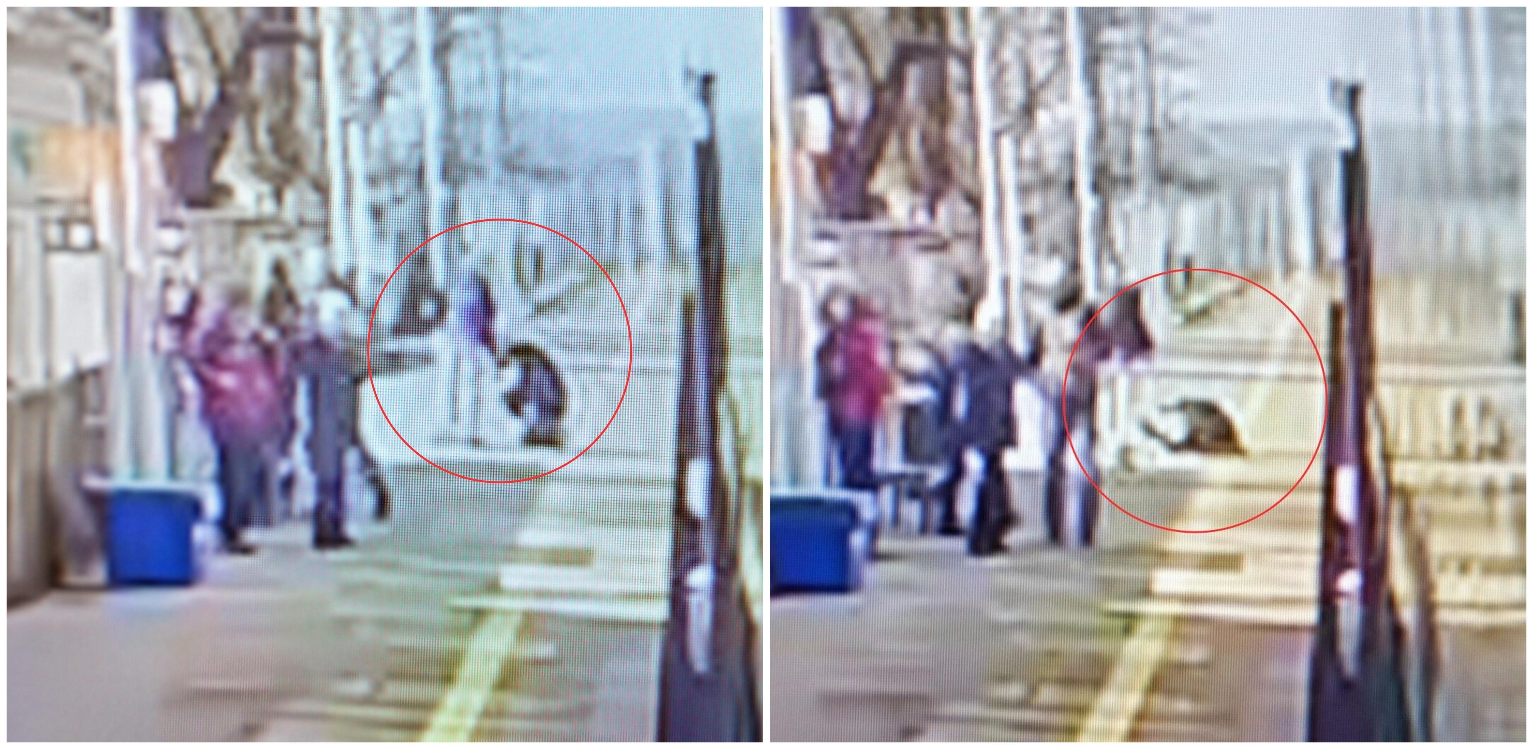 Pobicie kolejarza na stacji Wejherowo (fot. SKM Trójmiasto)