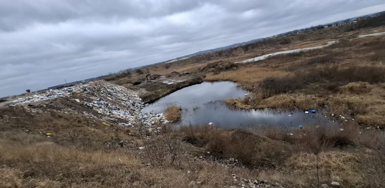 (fot. Facebook/Tomasz Krajewski)