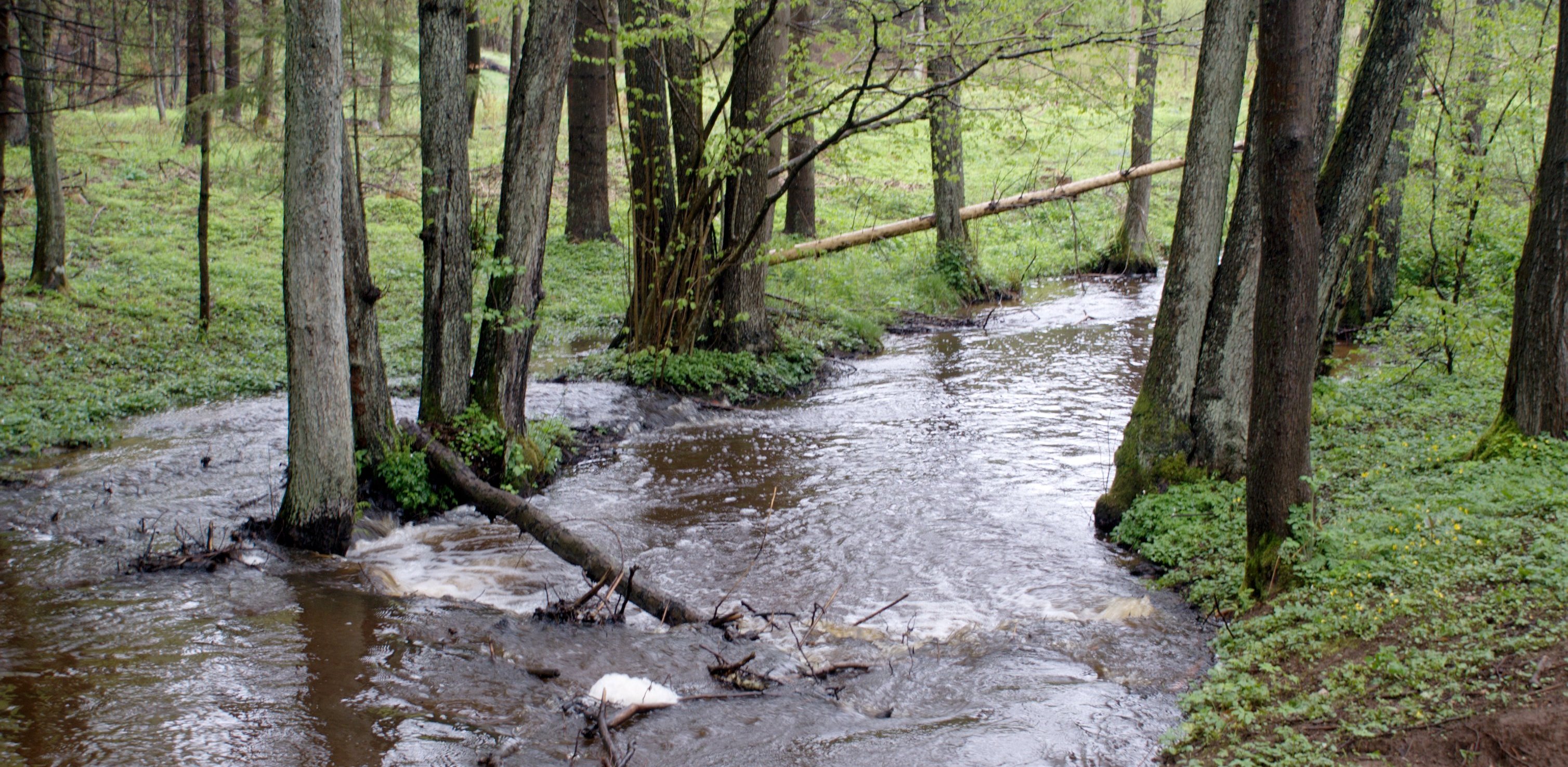 Zagórska Struga w Piekiełku (fot. Wikimedia Commons)