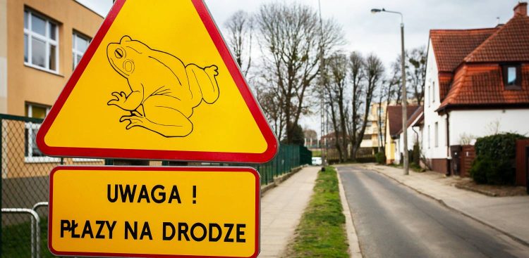Zdjęcie archiwalne. Gdańsk, ul. VII Dwór. Znak ostrzegawczy "Uwaga płazy!" (fot. Anna Rezulak/KFP)