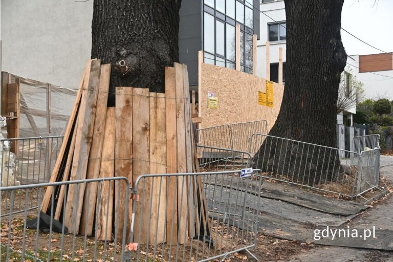 (fot. gdynia.pl)