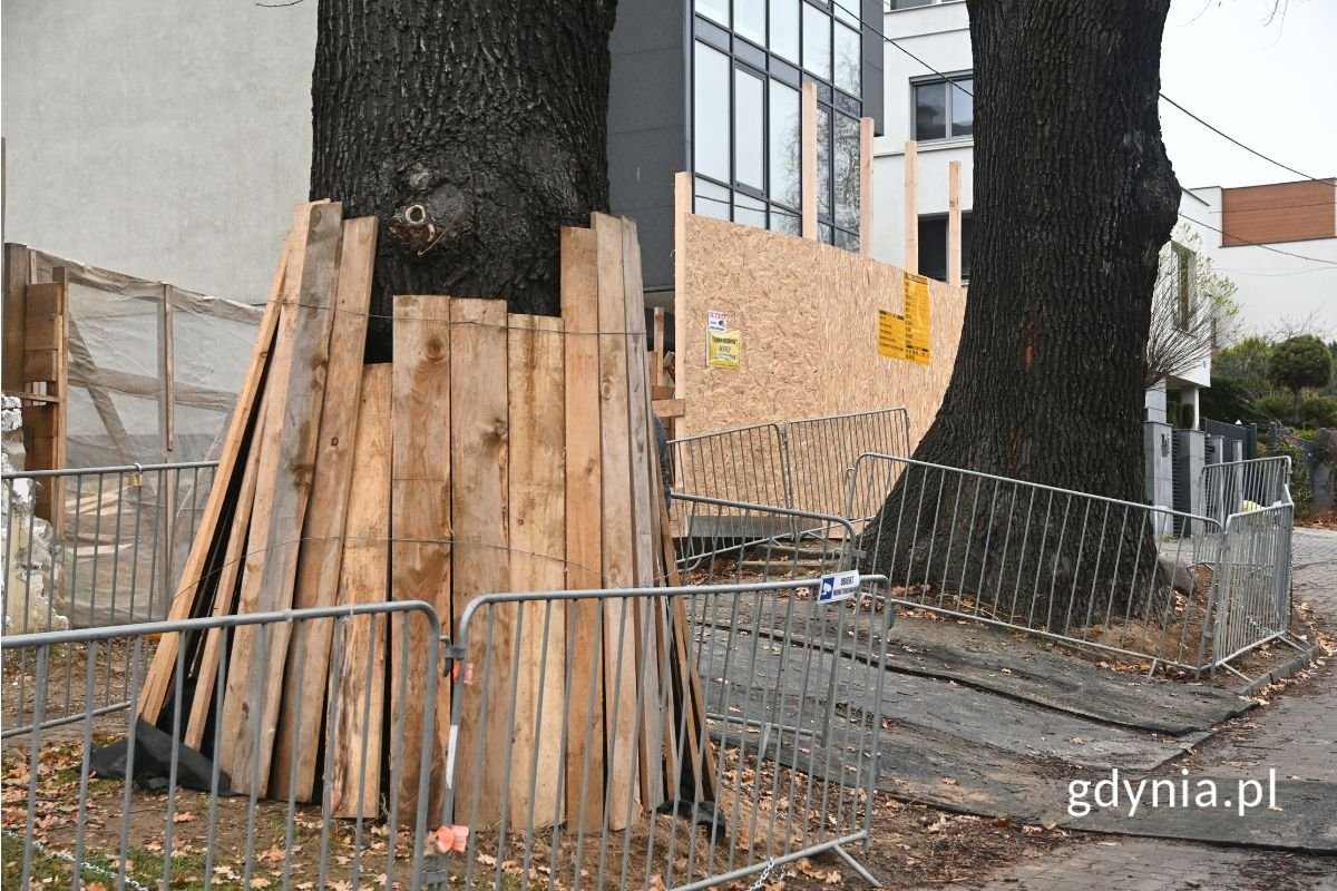 (fot. gdynia.pl)