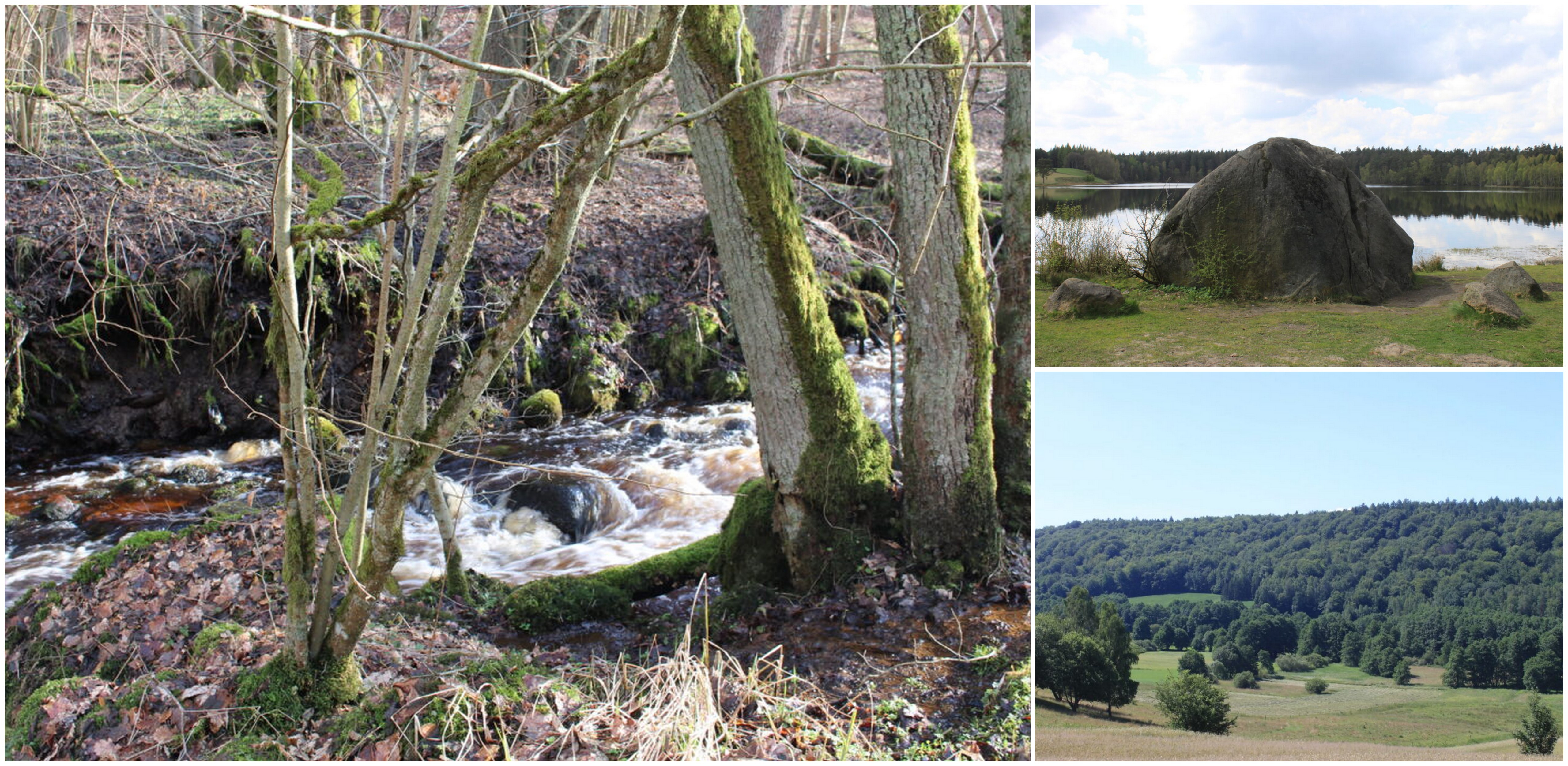 (fot. kaszubskiparknarodowy.eu)