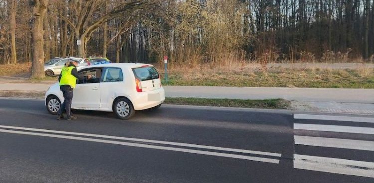 W Słupsku przeprowadzono akcję "Trzeźwość" (fot. KMP Słupsk)