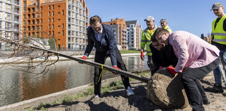 W ramach partnerstwa publiczno-prywatnego powstały przestrzenie rekreacyjne w Dolnym Mieście (fot. mat. pras.)