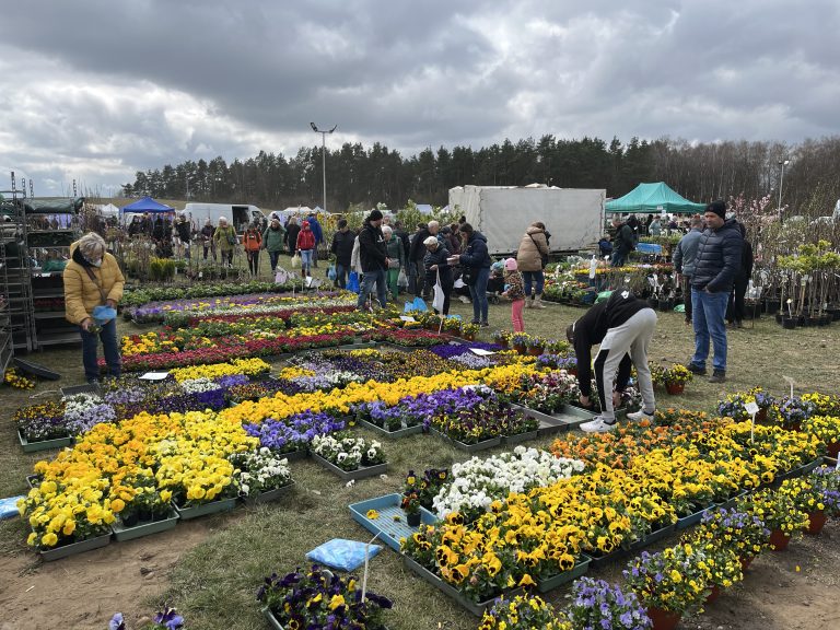 (fot. R.Groth/Radio Gdańsk)