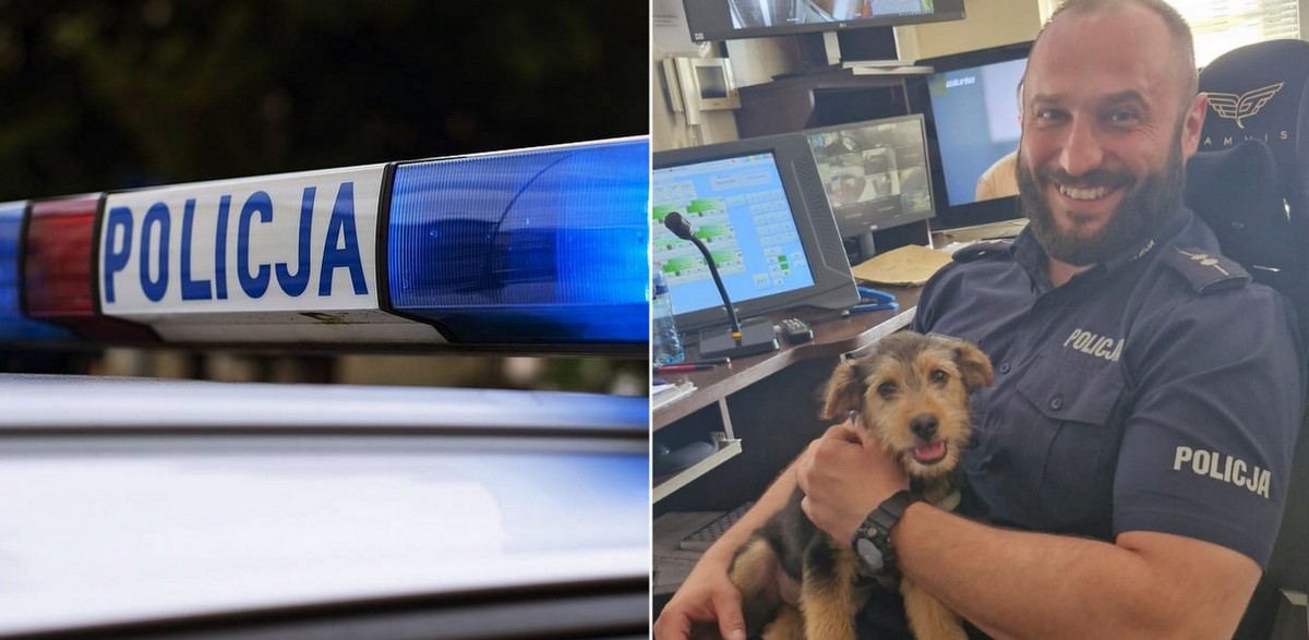 Pies został przewieziony do Komendy Powiatowej Policji w Kartuzach, a następnie trafił do fundacji w Kościerzynie (fot. Komenda Powiatowa Policji w Kartuzach)