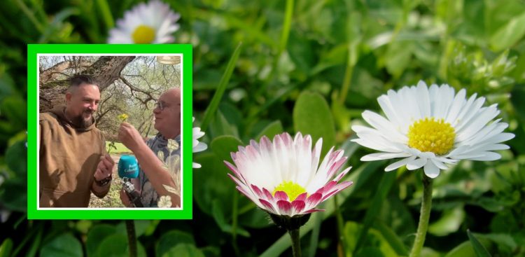 (fot. Radio Gdańsk/Pxhere)