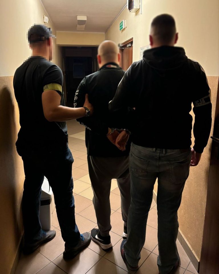 (fot. gdansk.policja.gov.pl)