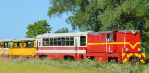 (fot. Żuławska Kolej Dojazdowa)