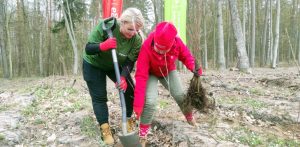 Akcja sadzenia drzew w Nadleśnictwie Starogard prowadzona przez spółkę Energa Obrót - 11.04.2025 r. (fot. Radio Gdańsk/Mateusz Czerwiński)