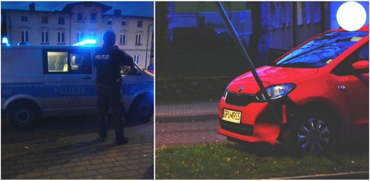 (fot. M. Jasłowski)