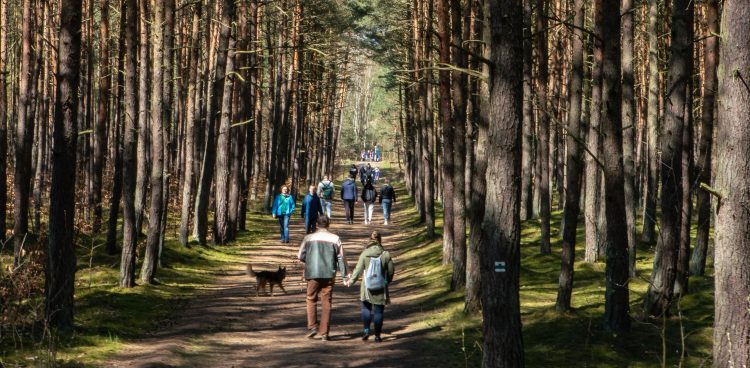 (fot. Anna Rezulak / KFP)